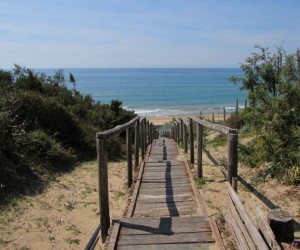 passerella_sabaudia