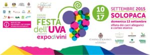 Festa del'Uva di Solopaca (Bn) accessibile a persone con disabilità