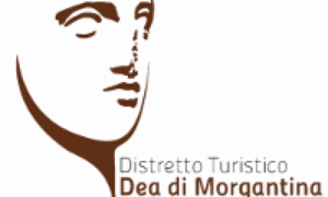 Distretto Turistico Dea di Morgantina