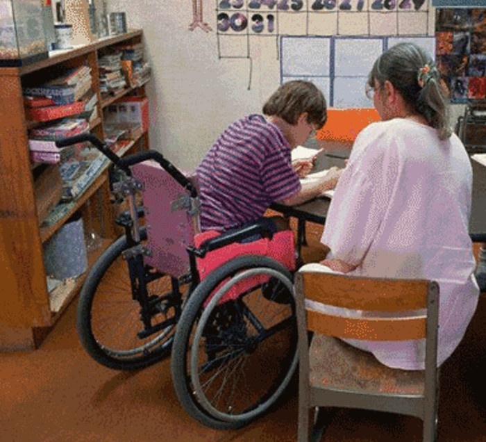 Il Mondo della Scuola Accessibile!?