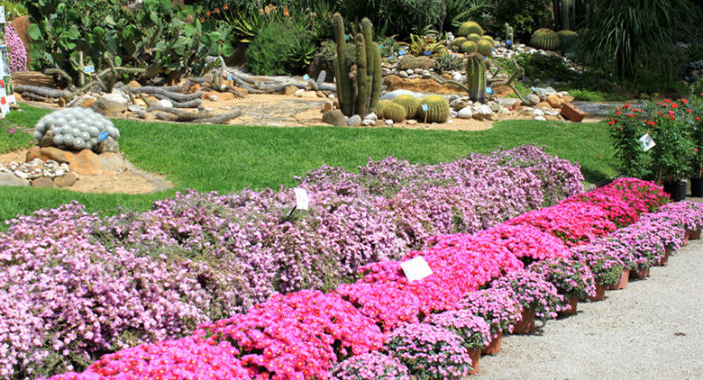 Orto Botanico Napoli